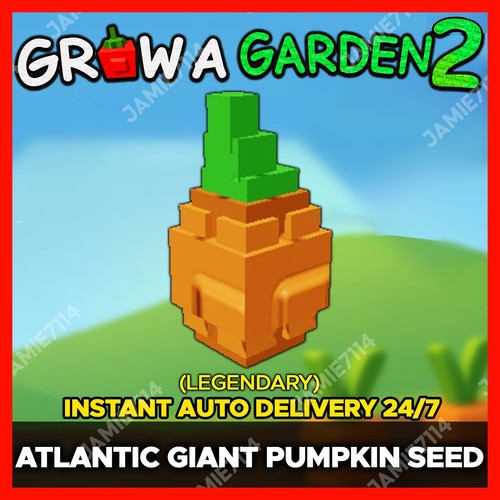 Grow garden zucca - garden, 2