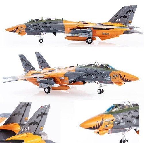 14d tomcat pumpkin - pumpkin, ace