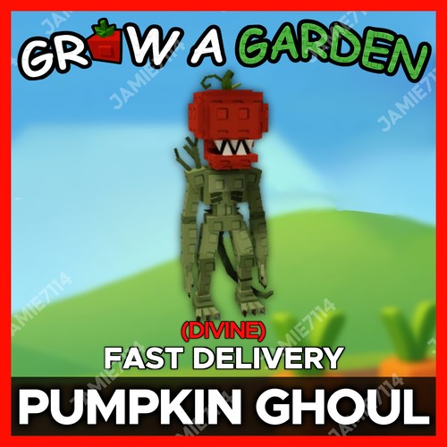 Zucca ghoul più economico - zucca, |