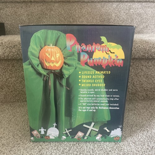 Zucca fantasma fantasma nos