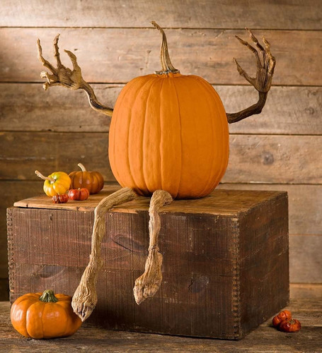 Set braccia gambe di zucca - set,